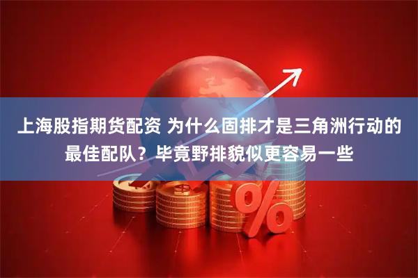 上海股指期货配资 为什么固排才是三角洲行动的最佳配队？毕竟野排貌似更容易一些