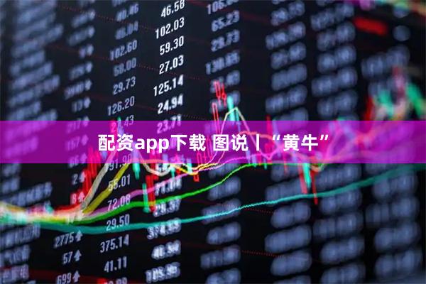配资app下载 图说丨“黄牛”